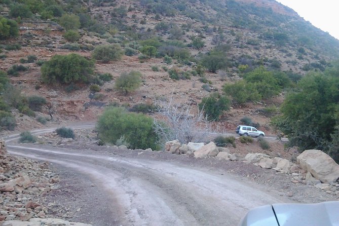 Atlas Mountains Day trip with lunch at Paradise Valley - What This Tour Is Best For (And When You Should Think Twice)