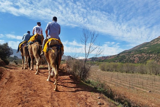 Atlas Mountains day Trips and berbers villages - Valley hopping in the High Atlas: Asni views and waterfall time