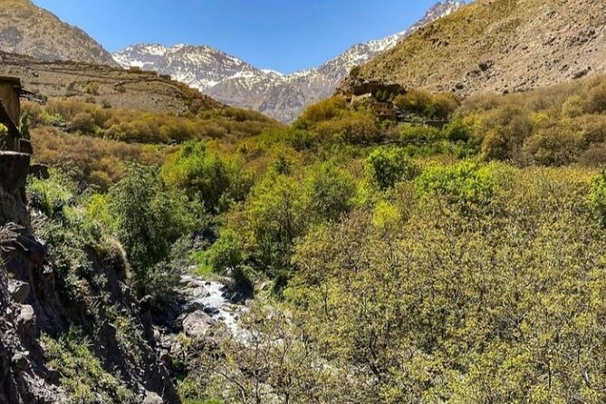 Atlas Mountains Full-Day Hiking Trip from Marrakech - Tamatert viewpoints: irrigated terraces and fruit-and-nut scenery