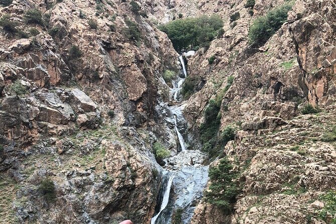 Atlas Mountains Half-Day Tour From Marrakech - Stop 2: Ourika Valley Berber Culture and the Women’s Argan Co-op