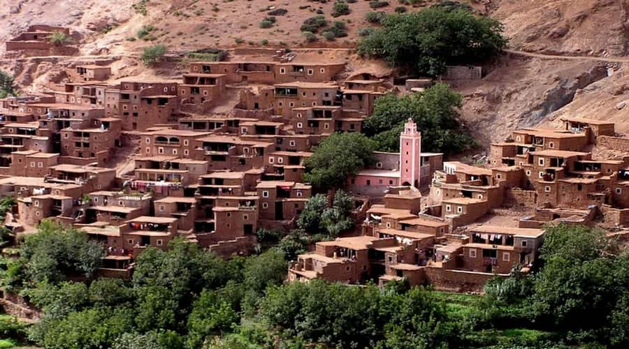 Atlas Mountains: Ijoukak and 4 Valleys with Camel Ride - Women’s argan cooperative: where the trip gets real