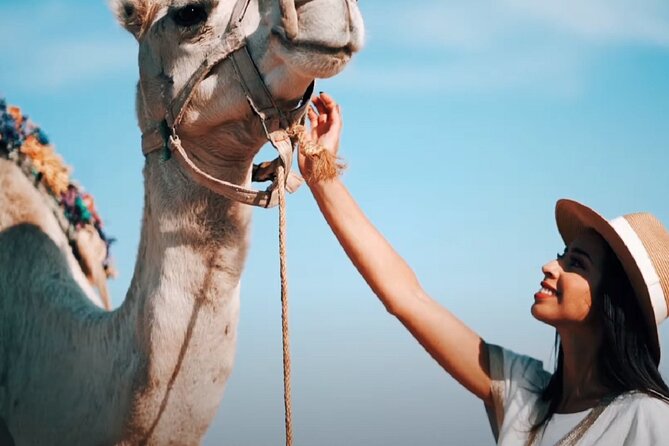 Atlas Mountains, Imlil valley, waterfalls, & Camel ride Day trip from Marrakech - Moulay Brahim Gorges Camel Ride: Scenic, Short, and Actually Fun