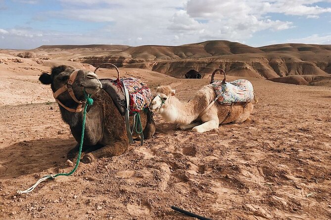 Atlas Mountains, Imlil valley, waterfalls, & Camel ride Day trip from Marrakech - Stops Along the Route: Argan Oil in Tahnaout and Berber Souks in Asni