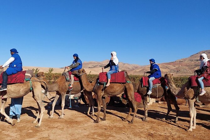 Atlas Mountains, Imlil valley, waterfalls, & Camel ride Day trip from Marrakech - The Hike to Armed: Your Real Workout, With Real Payoff