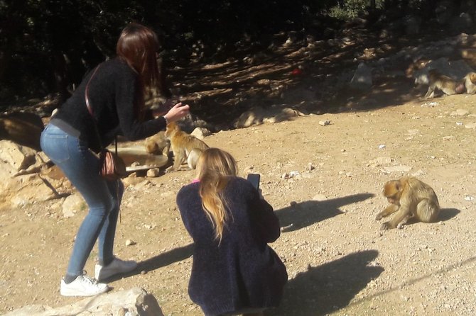 Atlas Mountains, Morocco: Ifrane, Azrou, Monkey Forest, Full Day Tour from Fez - Ifrane and Lake Dayet Aoua: cool air, birds, and picnic energy