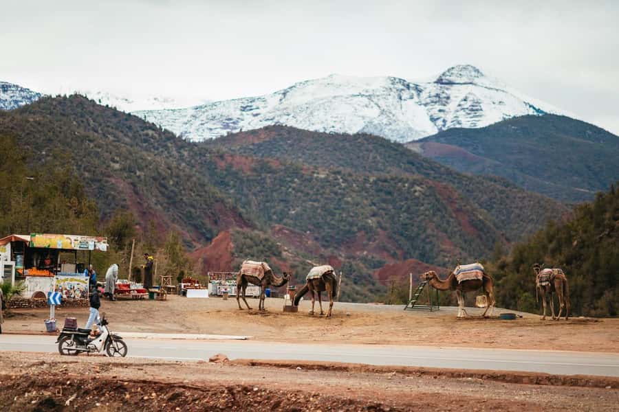 Atlas mountains, Ourika valley, berber villages trip & Guide - Why This Marrakech Day Trip Works for First-Timers