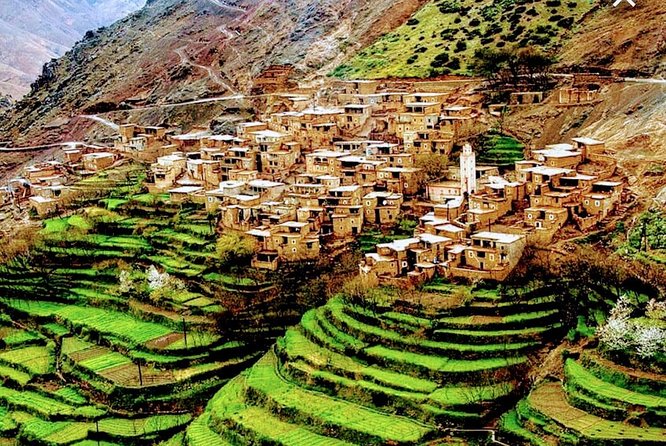 Atlas Mountains Ourika valley Day Tour from Marrakech - Key Highlights to Know Before You Go