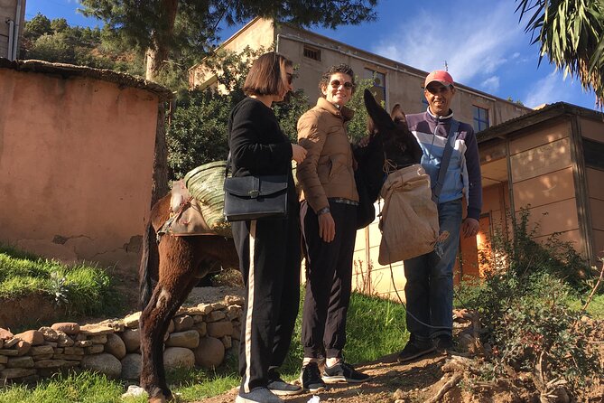 Atlas Mountains Ourika valley Day Tour from Marrakech - Berber Villages, Three Valleys Context, and Cultural Walking Time