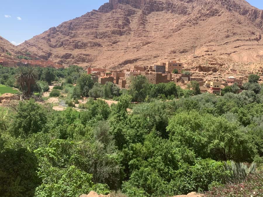 Atlas Mountains Ourika valley Day Trip From Marrakech - Should you book this Ourika Valley day trip?