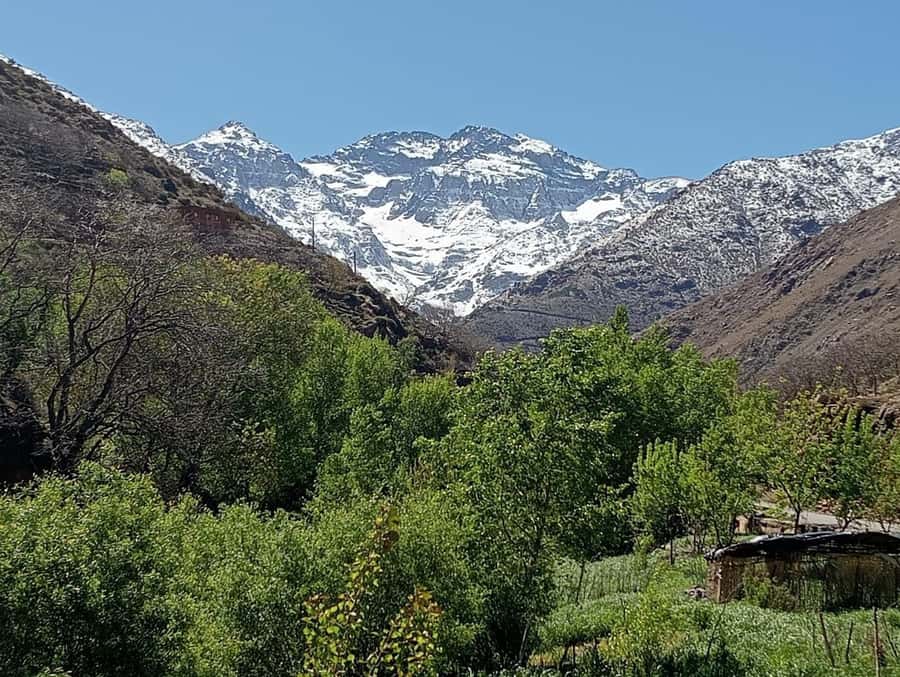 Atlas Mountains Ourika valley Day Trip From Marrakech - Setti Fatma waterfall hike: boots, swimwear, and back-spray reality