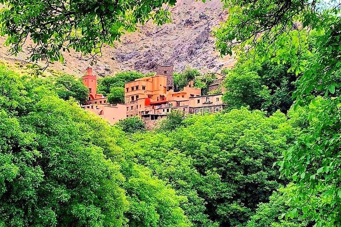 Atlas Mountains & Ourika Valley Private Day Trip From Marrakech - The drive matters: viewpoints, breaks, and snack stops