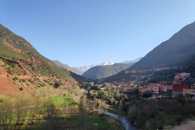 Atlas Mountains & Ourika Valley Tour with Waterfall Hike & Lunch - Ourika Valley and Berber village: more than a quick photo stop