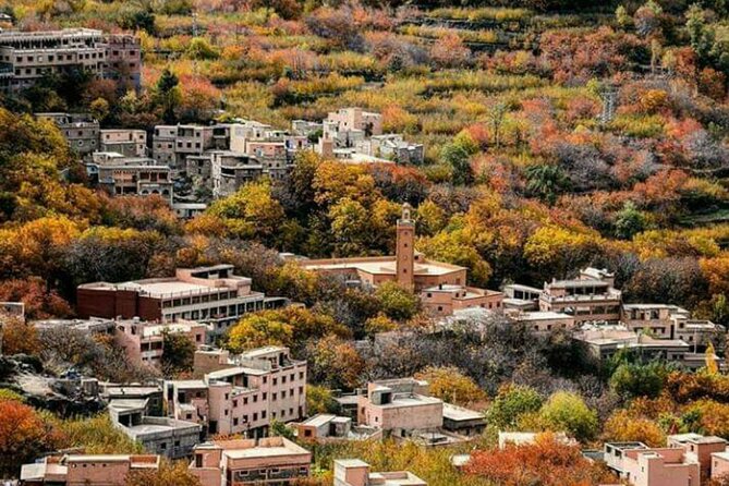 Atlas mountains privat day trip - Key things to know before you go