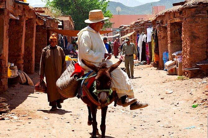 Atlas Mountains: Private Ourika Valley Day trip (All-Inclusive) - Berber museum stop: short education, clear context