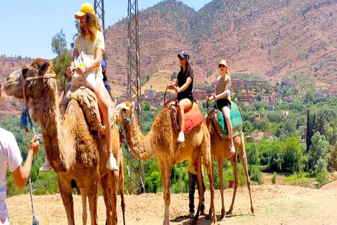 Atlas Mountains: Private Ourika Valley Day trip (All-Inclusive) - What you’re really paying for: value and pace
