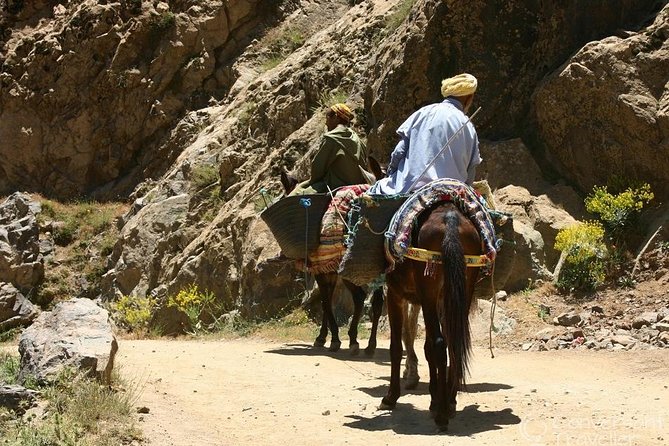 ATLAS MOUNTAINS The National Park of Toubkal - Lunch at Kasbah Toubkal: Good Food, Practical Drinks, and a View-First Plan