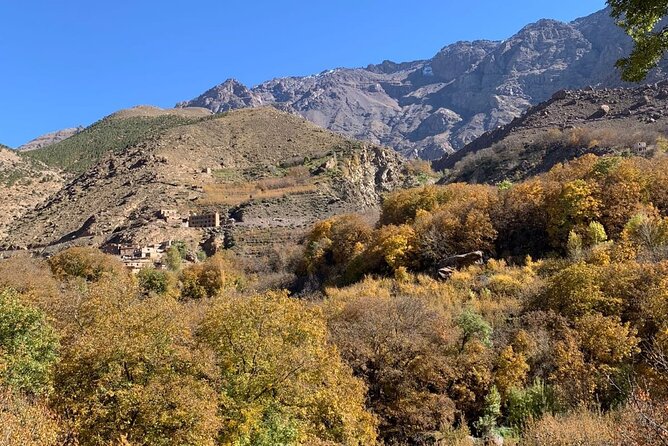 Atlas Mountains Three Valley and Berber Villages & Watterffalls Day Tour - The women’s argan cooperative: where the story gets practical