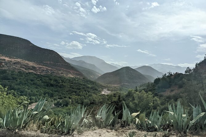 Atlas Mountains Three Valley and Berber Villages & Watterffalls Day Tour - Waterfalls after the villages: plan for walking and timing