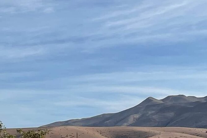 Atlas Mountains :Three Valley Guided Day Trip From Marrakech - Berber Family Lunch: Mint Tea and Three Dishes in a Home Setting