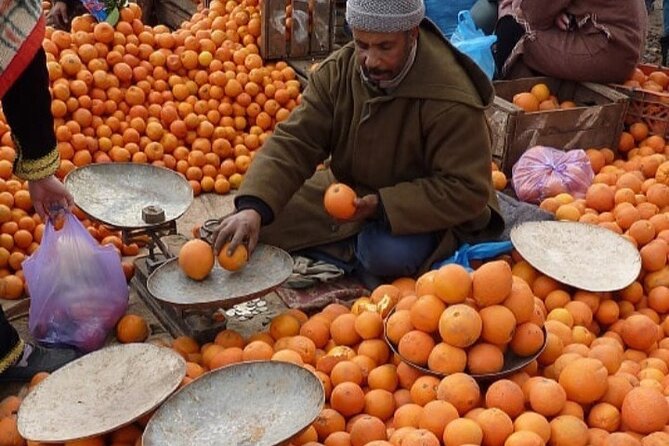 Atlas Mountains Tour from Marrakesh - Key highlights worth clocking