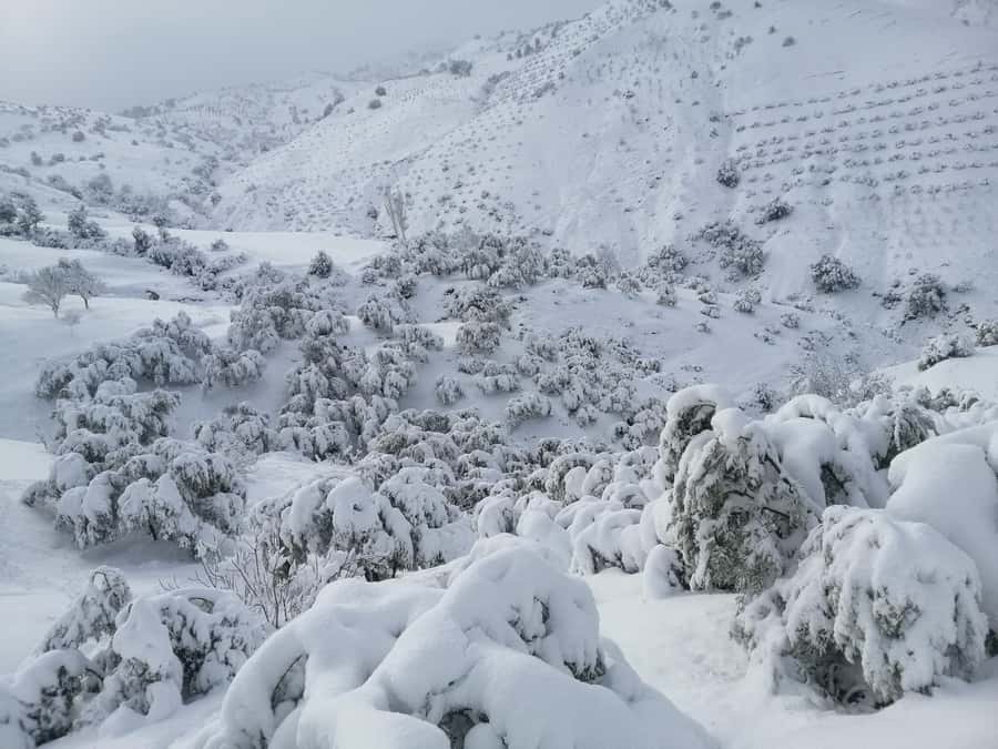 Atlas Mountains Trek Azzaden Valley And Imlil 2 Days - Crossing the Trail to Tizi Mzik (2684m): The Big View Moment
