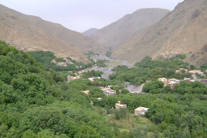 Atlas Mountains Valley Trek - 3 Days - Day 3: Tizi Oussem to Tizi Mzik (2400m) and Back to Imlil