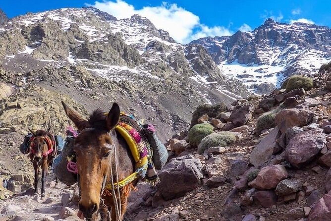 Atlas Mountains Waterfalls and 3 Valley with Lunch in Marrakesh - Imlil Valley and the hour hike: Toubkal views plus waterfall photo time