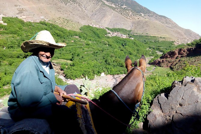 Atlas Mountains, waterfalls and Berber Villages with a guide - Transportation, Groups, and How This Tour Feels Day-to-Day