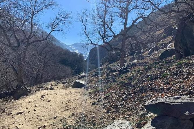 Atlas Mountains, Waterfalls Day Hike & Trek From Marrakech - How long it really feels: 6 hours on the mountain clock