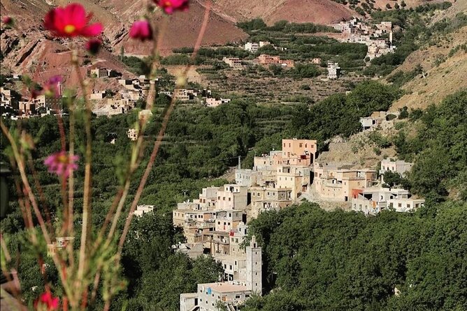Atlas Mountains, Waterfalls Day Hike & Trek From Marrakech - Who this tour suits best