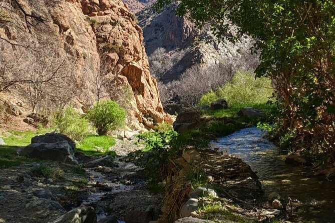 Atlas Mountains & Waterfalls Day Trip from Marrakech - Guides like Ismail and Abdul make the drive and hike easier