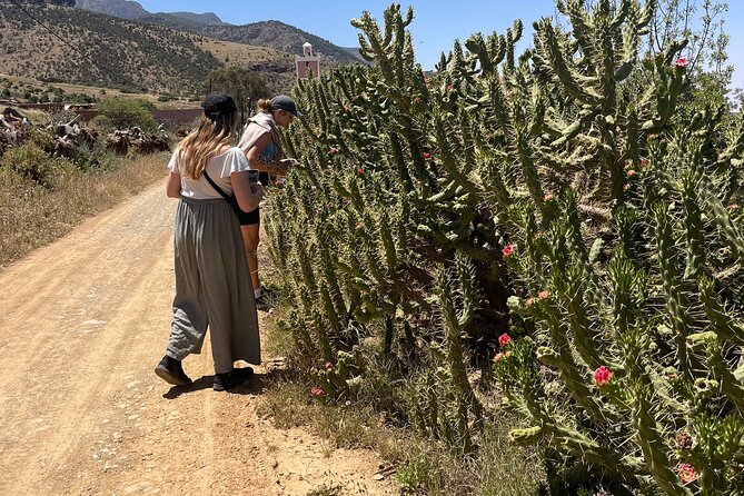 Atlas: Pottery workshop , hiking and swimming pool - Should you book the Atlas Pottery Workshop, Hiking and Pool?