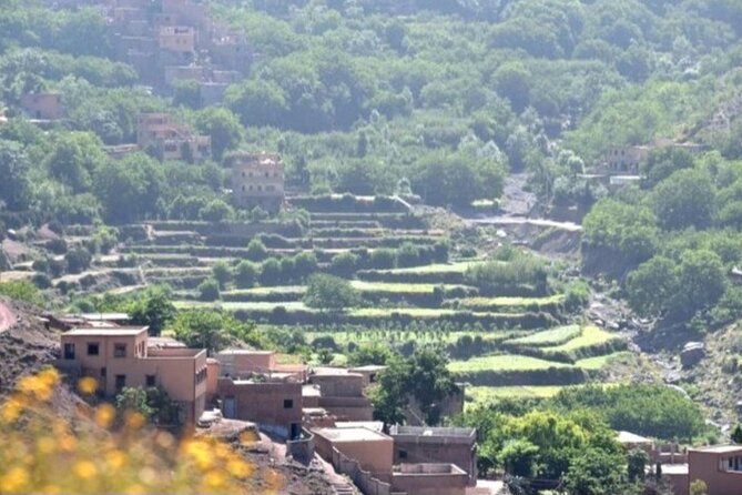 Atlas Tour: Imlil-Meals-Chameau Waterfall from Marrakech - Key highlights you’ll care about