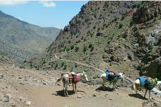 Atlas Valleys & Mount Toubkal Private 3 Days Trek From Marrakech - Gear and fitness: how to prepare so day three doesn’t surprise you