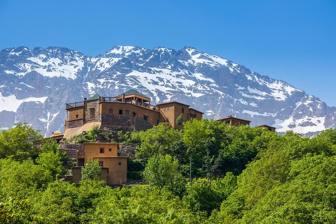 Berber Life Experience in the Atlas Mountains from Marrakech - Lunch in a local family home: where the day clicks