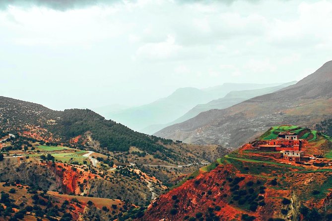 Berber Life Experience in the Atlas Mountains from Marrakech - Argan oil cooperative: what you learn and why it matters