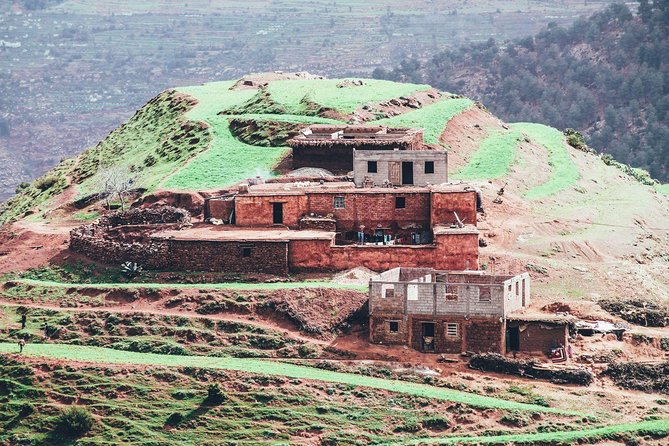 Berber Life Experience in the Atlas Mountains from Marrakech - Price and value: what you’re really paying for at about $35