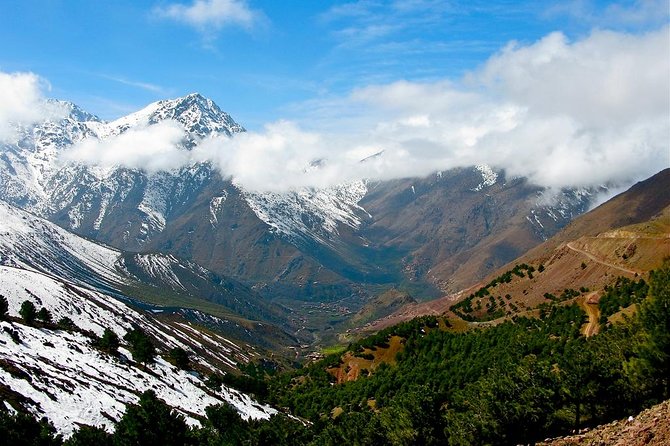 Berber Life Experience in the Atlas Mountains from Marrakech - Timing, group size, and how the day stays manageable