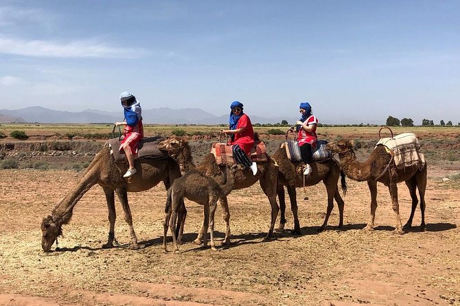 Berber Villages 3 Valleys & Camel ride Atlas Mountains Day Trip - Agafay Camel Ride: Worth It If You Want a Slower Pace