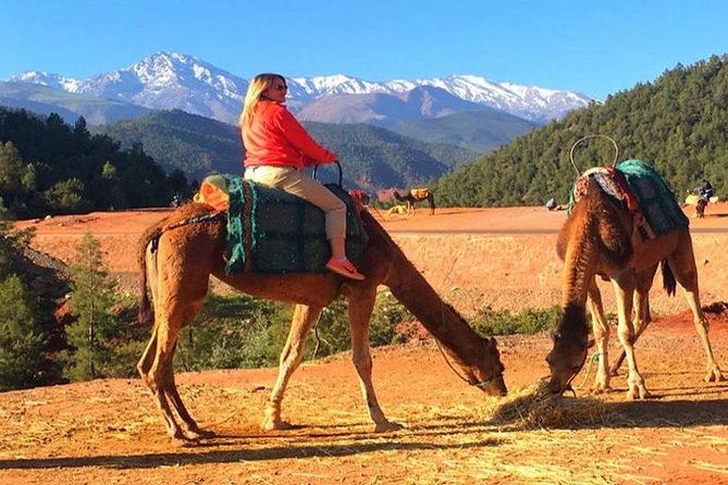 Berber Villages Day Trip & Camel Ride From Marrakech - Transport Value: Air-Conditioned Comfort for the Long Road