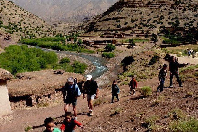 Best Atlas Mountains Experience - Cultural & Multi-Outdoor Activities Excursion - Ourika Valley: Green Views and a Local Family Visit
