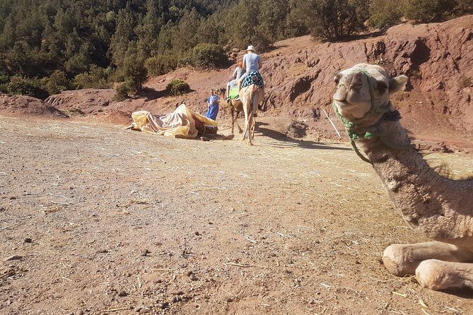 Best Atlas Mountains Experience - Cultural & Multi-Outdoor Activities Excursion - Lalla Takerkoust Quad Biking: One Hour of Rocky Desert Fun