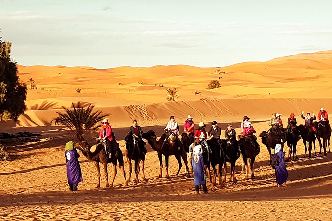 Best Casablanca Desert Trips - The Driver and Guide Factor: Comfort, Control, and Culture