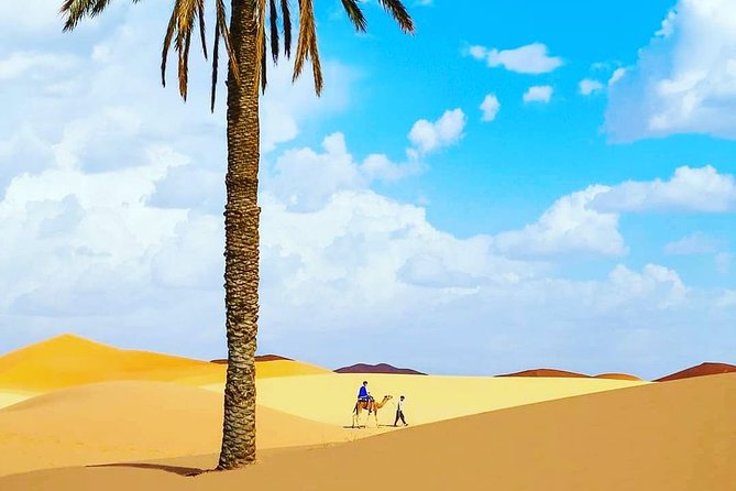 Best Casablanca Desert Trips - Day 2: Volubilis Roman Ruins and Meknes Medina Craft Atmosphere