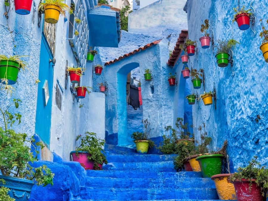 Best Chefchaouen Day Tour from Fez - Who This Day Trip Is Best For