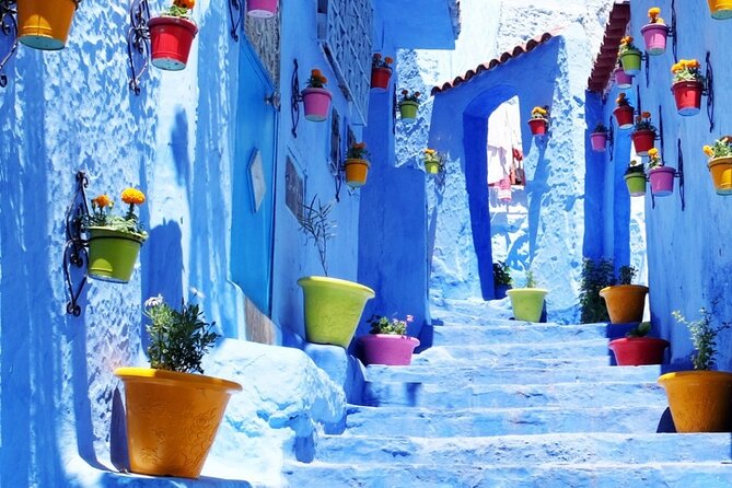 Best Chefchaouen Day Tour from Fez - Grand Mosque and the ethnographic museum: a stronger cultural finish