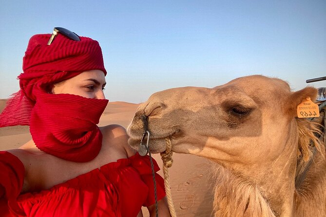 Best Fes to Merzouga Desert Tour 2 Days - The desert night: quad biking, optional camel rides, and Berber camp energy