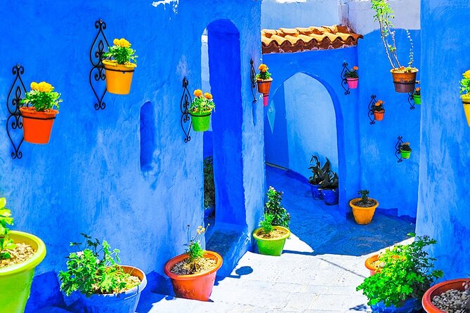 Best Inclusive 15 Days Morocco Tour - Middle Atlas to Midelt via Ifrane and cedar forests: cooler air and macaque breaks