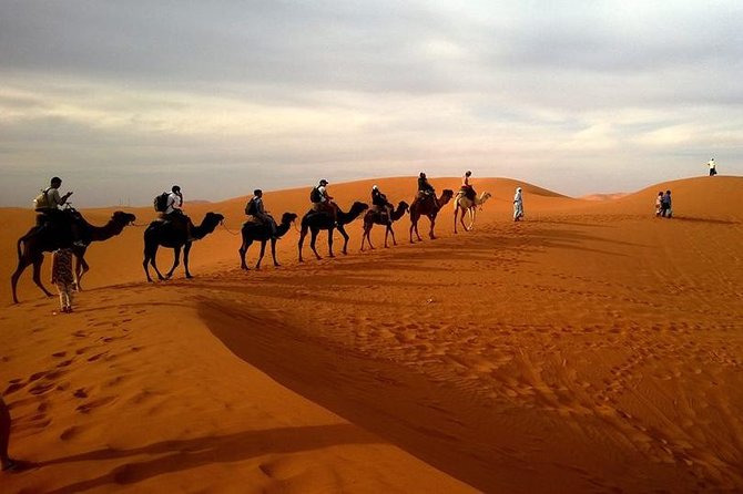 Best of Moroccan Sahara: 5-Day Guided Tour from Marrakech - Day 2: Zagora → Tazzarine → Alnif → Merzouga, then a desert night at the camp