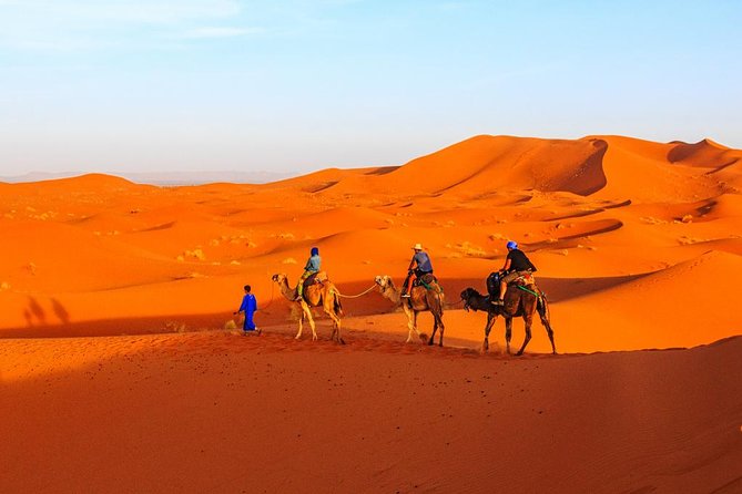 Best of Moroccan Sahara: 5-Day Guided Tour from Marrakech - Day 5: Ouarzazate → Marrakech over Tizin-Tichka, with mountain snow when it happens